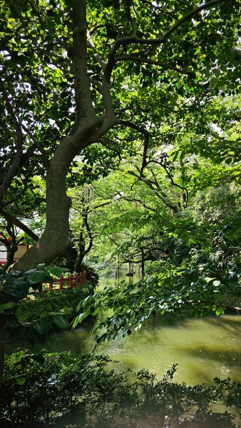 三嶋大社,静岡県三島市大宮町二丁目1番5号