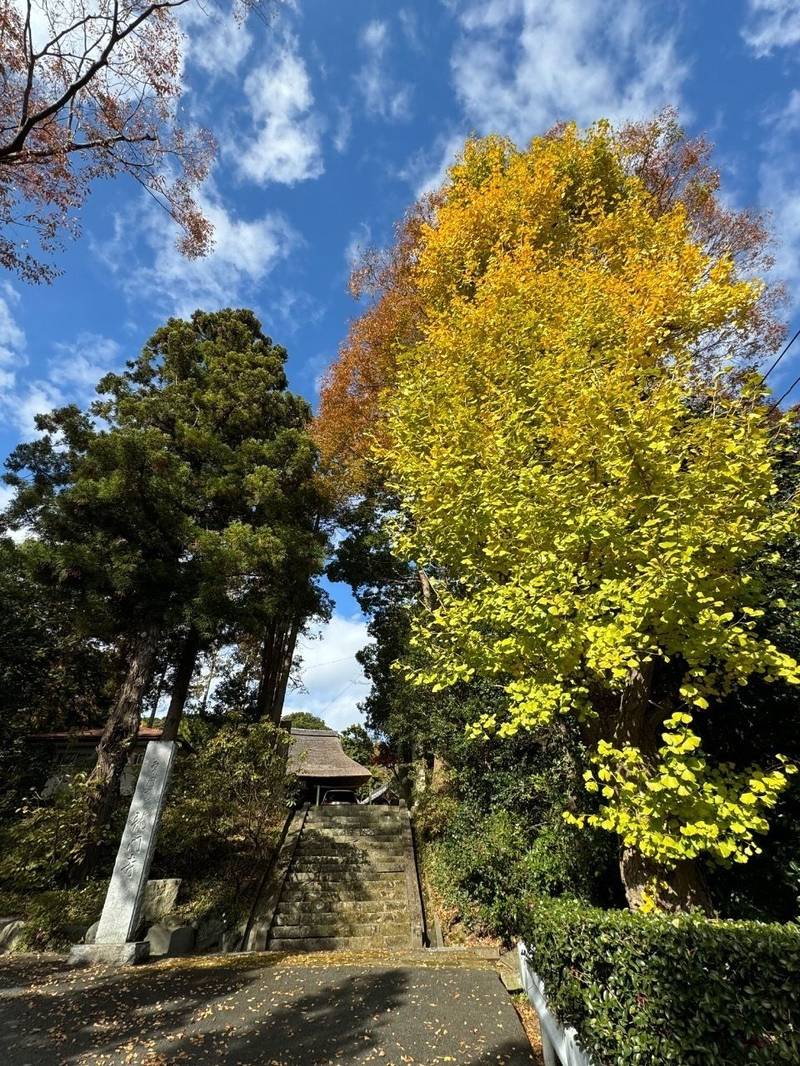 龍門寺,福島県いわき市平下荒川諏訪90