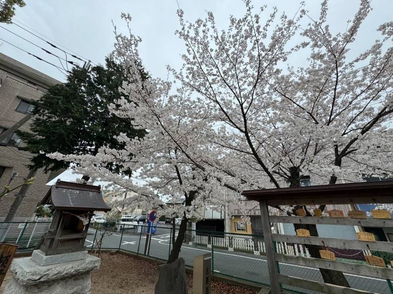 小御嶽神社     (瀬崎富士塚),埼玉県草加市瀬崎3-3-24　瀬崎浅間神社内