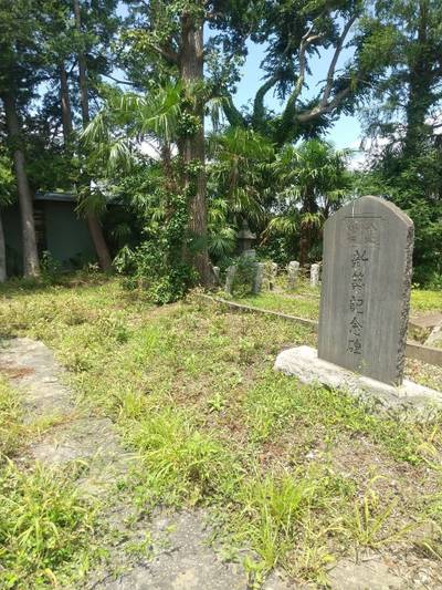 八坂神社,見どころ,zx14