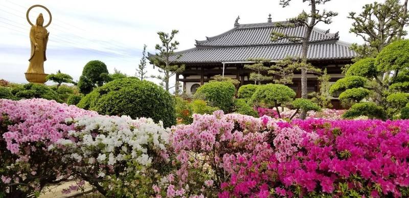 法雲寺,大阪府堺市美原区今井192