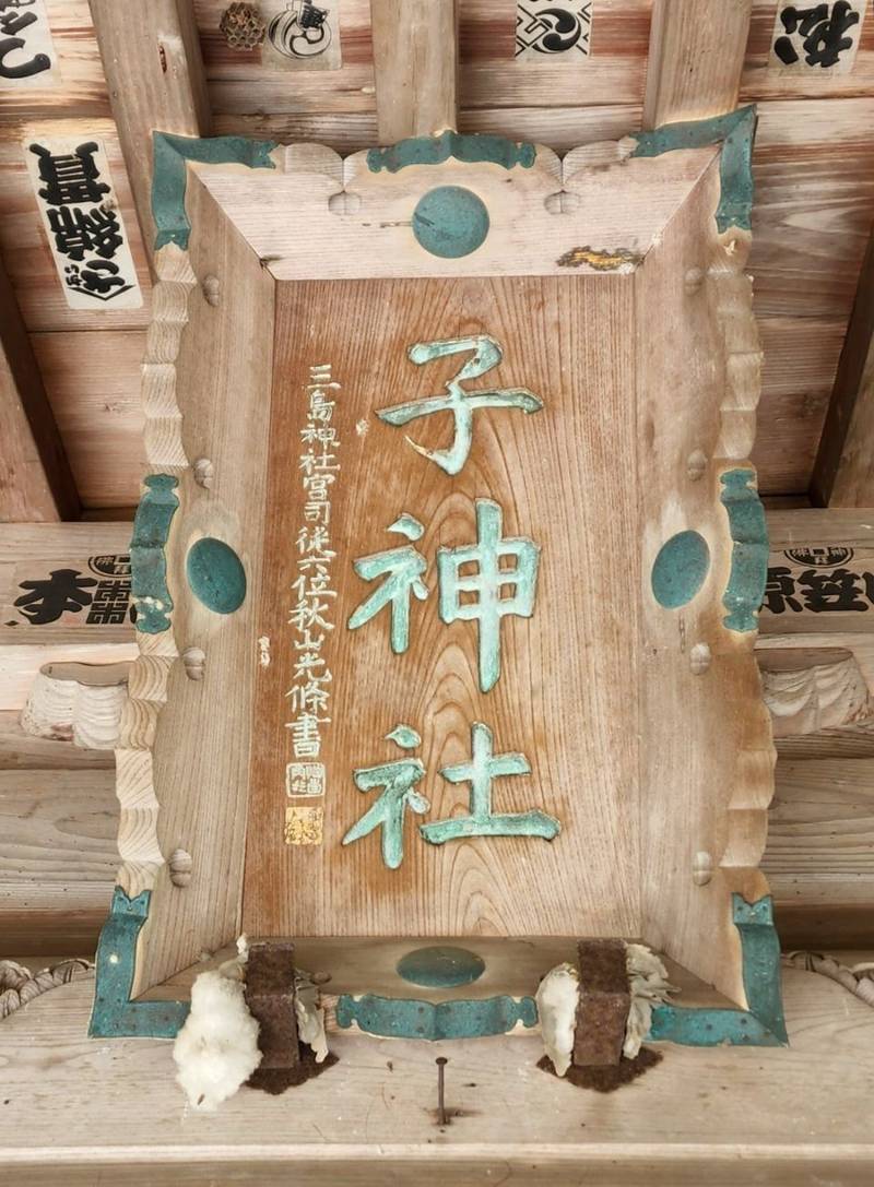 子神社  (大沢),静岡県伊豆市大沢244