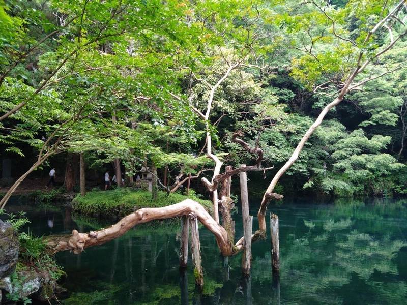 涌釜神社,栃木県佐野市出流原町１１１７