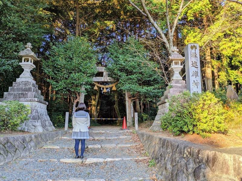 進雄神社 (大木町),愛知県豊川市大木町山ノ奥106