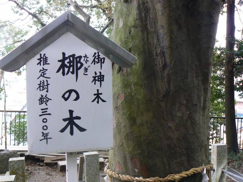 尾野神社,三重県桑名市大字東方2194