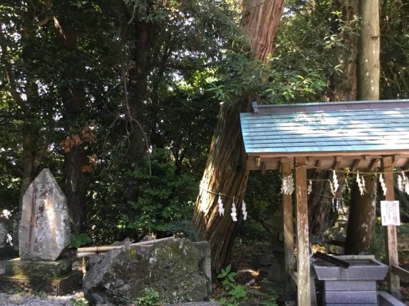 新宮神社 南国市 高知県 Omairi おまいり 新宮神社 南国市 高知県 Omairi おまいり