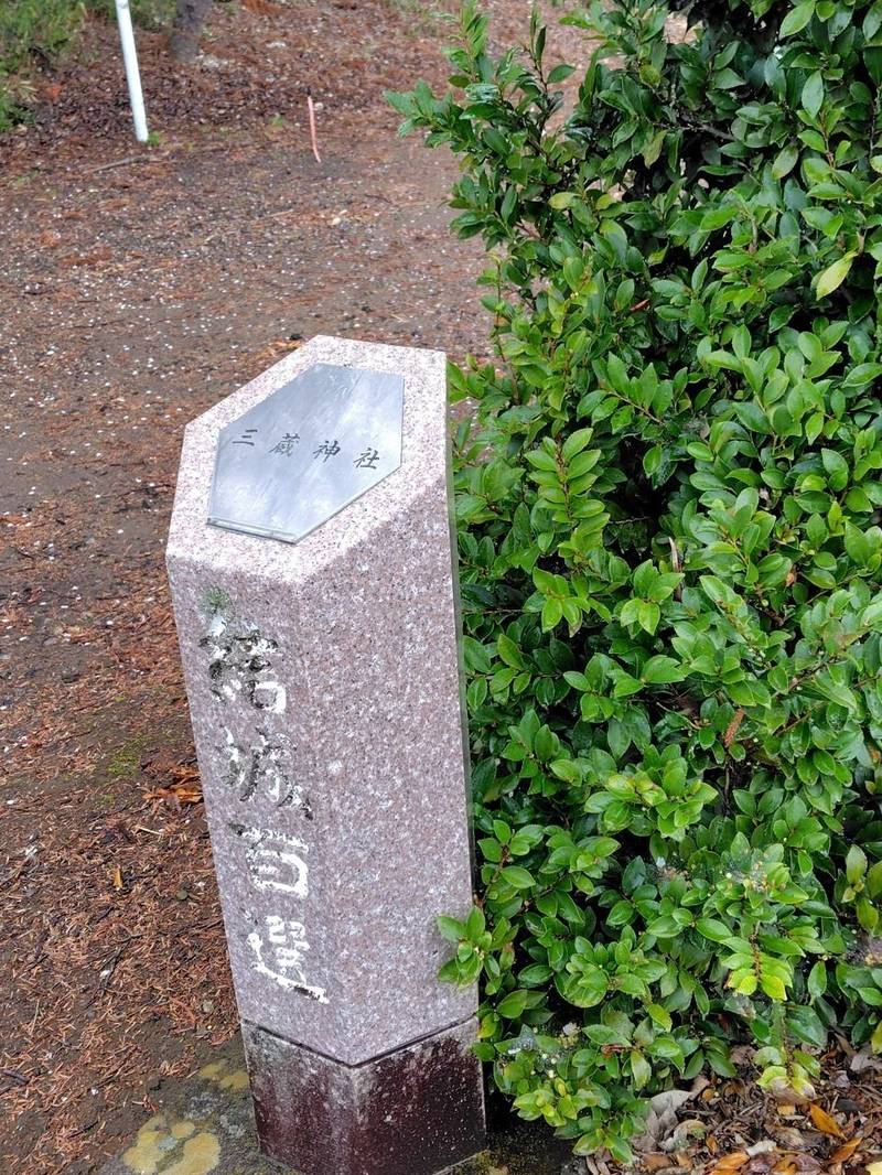 三蔵神社,茨城県結城市田間757