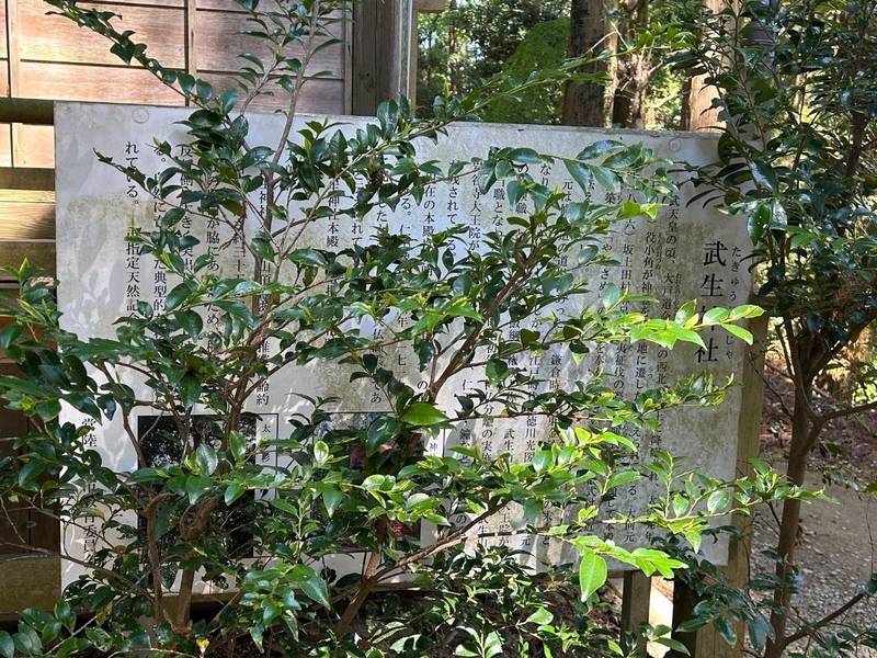 武生神社,茨城県常陸太田市下高倉町2578