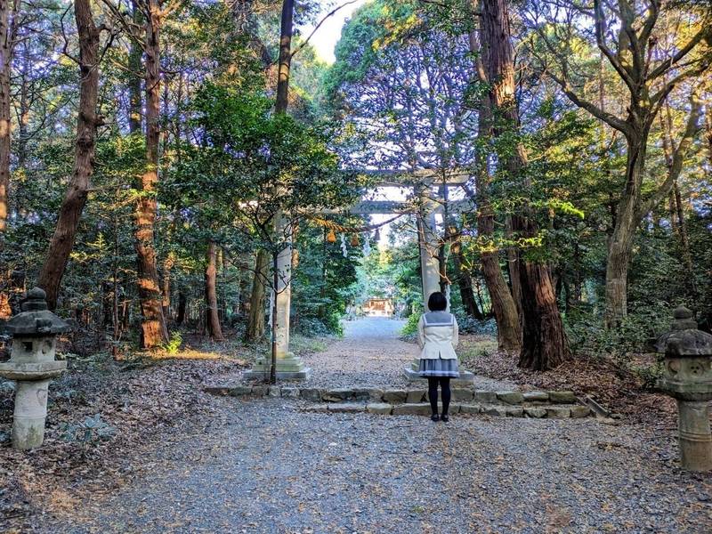 進雄神社 (大木町),愛知県豊川市大木町山ノ奥106