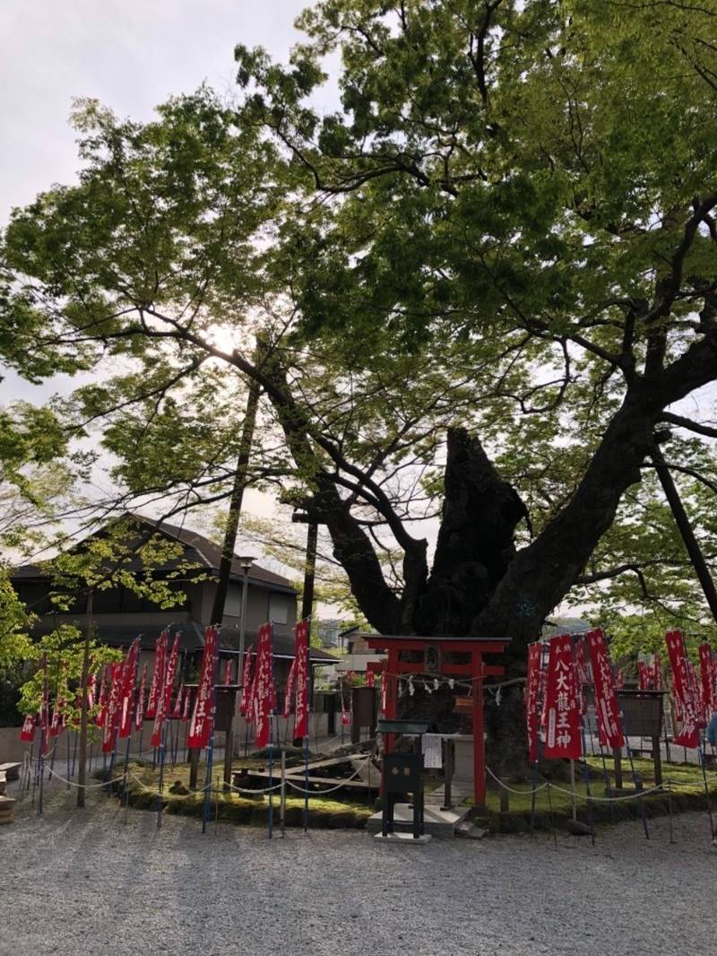 秩父今宮神社の見どころ