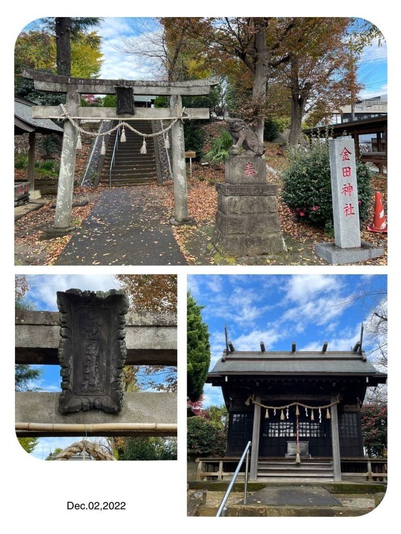 金田神社,神奈川県厚木市金田172