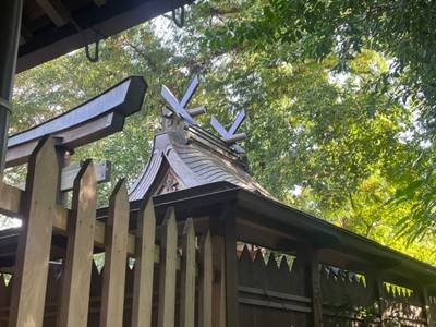白山神社   (天理市杣之内町),見どころ,tackto
