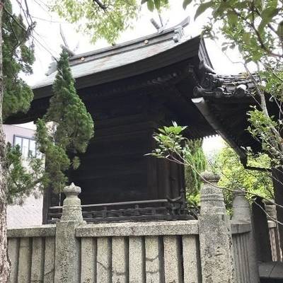 矢柄八幡神社,見どころ,Y.Shiraga