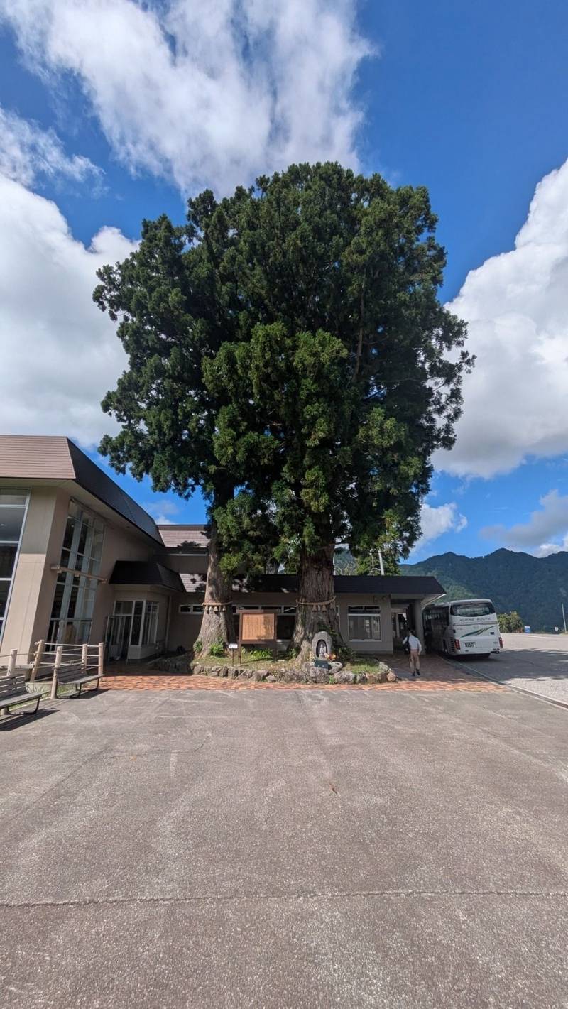 立山芦峅寺閻魔堂,富山県中新川郡立山町芦峅寺
