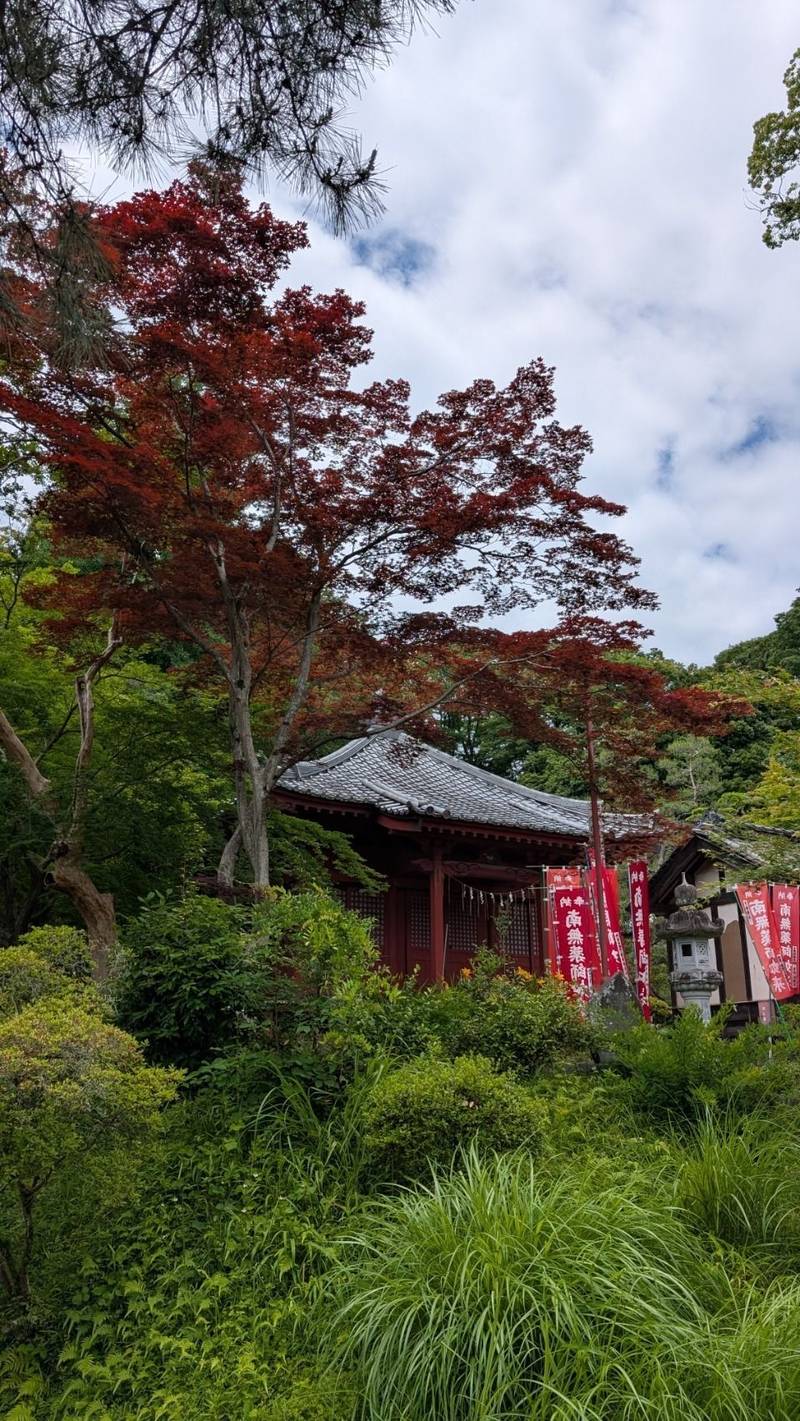 安楽寺        (吉見観音),埼玉県比企郡吉見町御所３７４