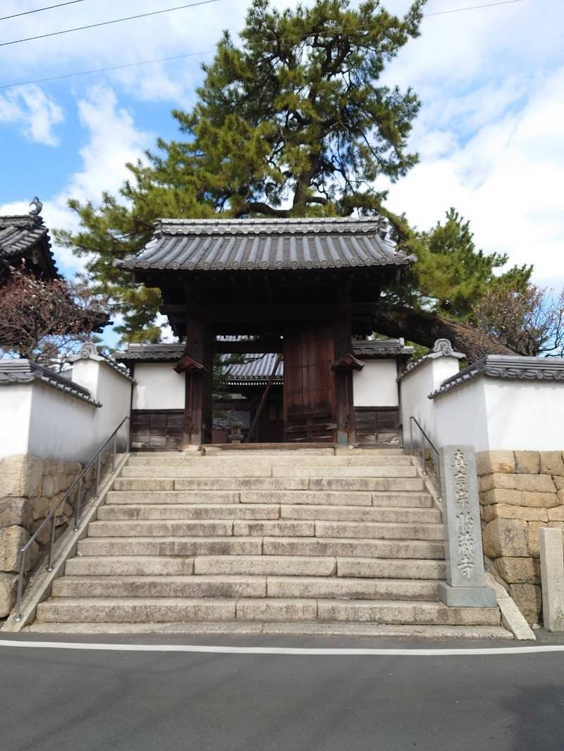 胎蔵寺,広島県福山市北吉津町2-4-8