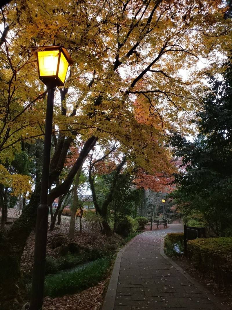隼鷹天満宮,熊本県阿蘇市的石603