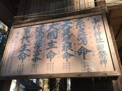 中村神社,見どころ,なかじぃ