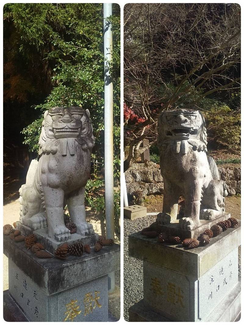 椎谷神社,佐賀県西松浦郡有田町外尾町丙1217