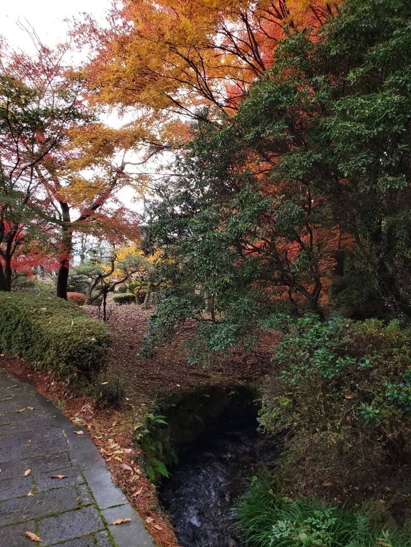 隼鷹天満宮,熊本県阿蘇市的石603