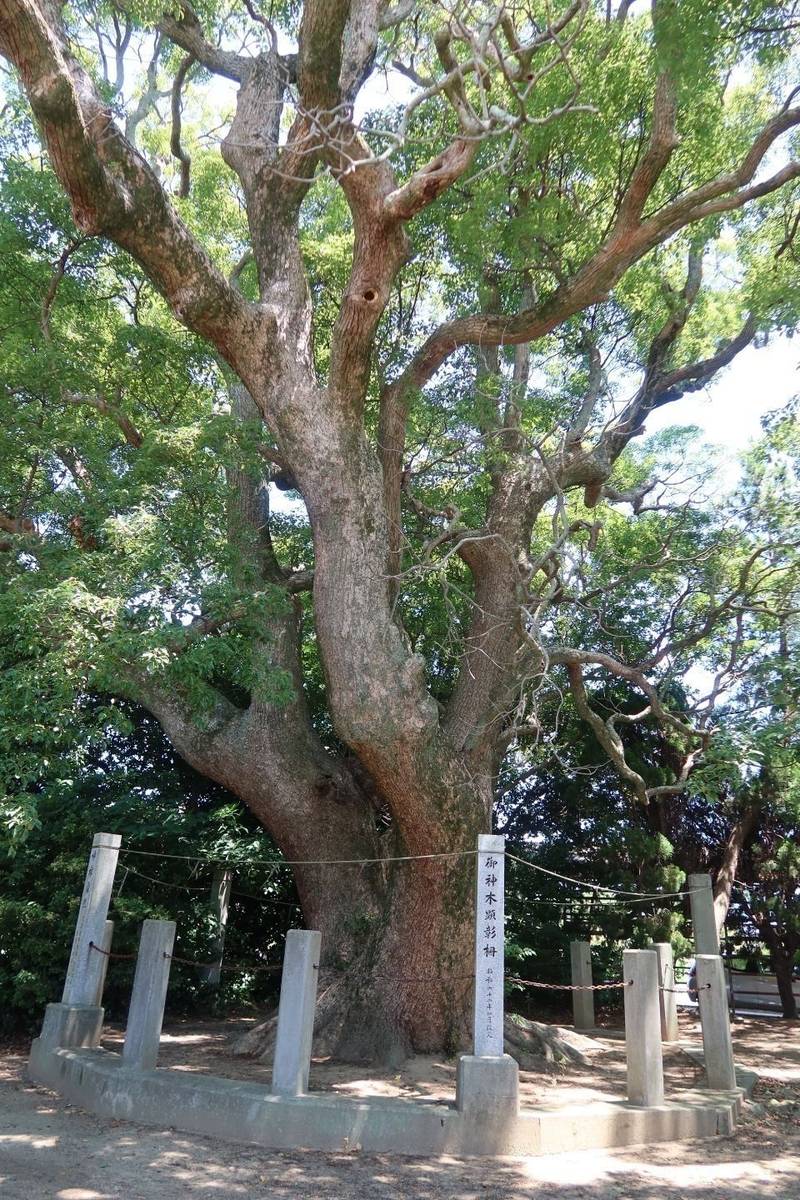 高田八幡神社,兵庫県南あわじ市松帆高屋甲41