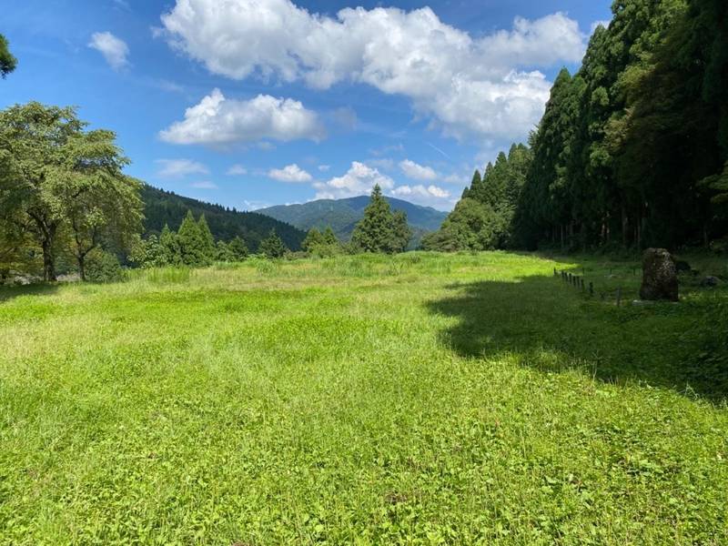 南陽寺跡,福井県福井市城戸ノ内町