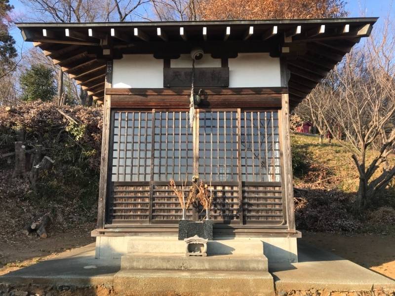 天野薬師,東京都八王子市東中野145