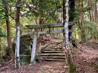 白鳥神社,見どころ,を神