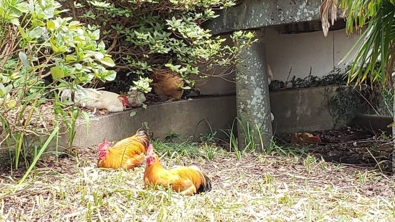 松森天満宮 見どころ 長崎市 長崎県 Omairi おまいり 松森天満宮 見どころ 長崎市 長崎県 Omairi おまいり