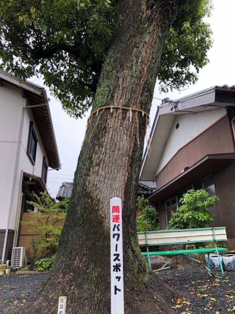 欣浄寺,愛知県岡崎市本宿町東木竹１６番地