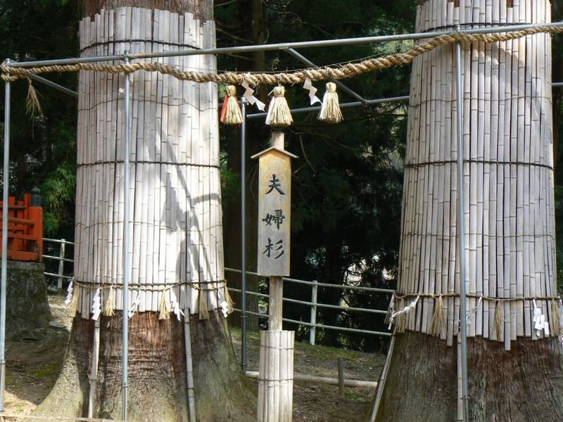 仲山神社  (美杉町八知),三重県津市美杉町八知 2977