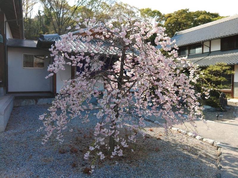 天清院呑龍閣,岐阜県大垣市赤坂町3334