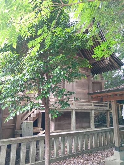 黒田神社,見どころ,あまてらす王海守