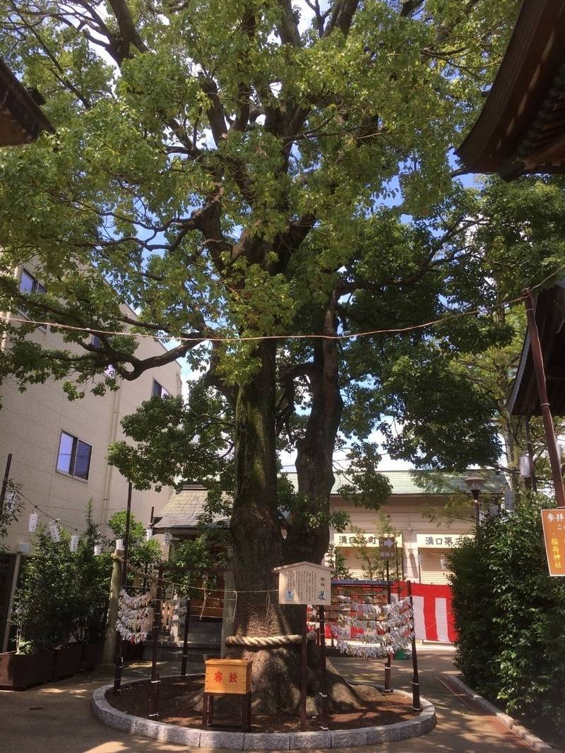 溝口神社 御朱印 川崎市/神奈川県 Omairi(おまいり)
