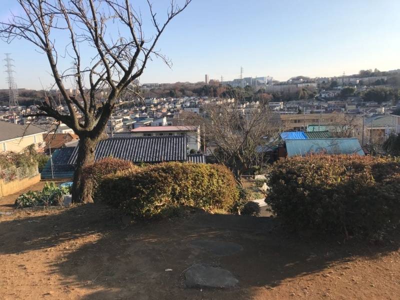天野薬師,東京都八王子市東中野145