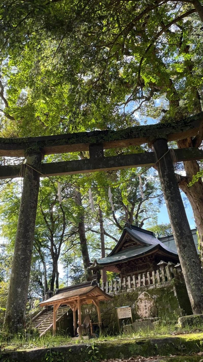 宮砥八幡社,大分県竹田市大字次倉2525