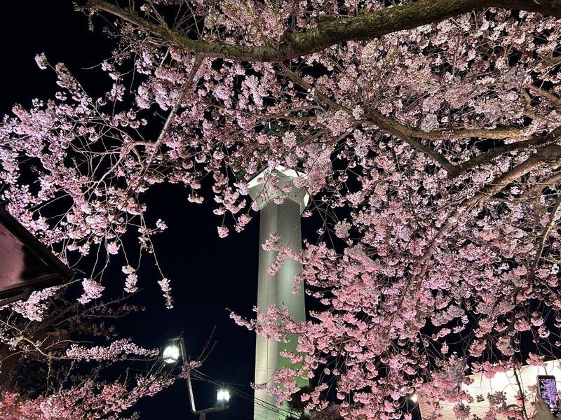 最上寺,北海道函館市五稜郭町２９－１５