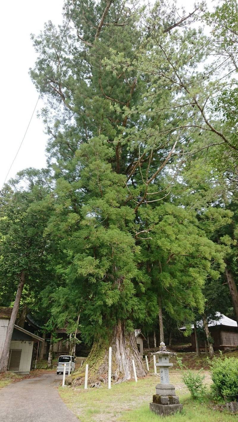 新八幡神社,徳島県美馬市木屋平八幡76