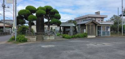 満蔵寺,見どころ,しまえなが