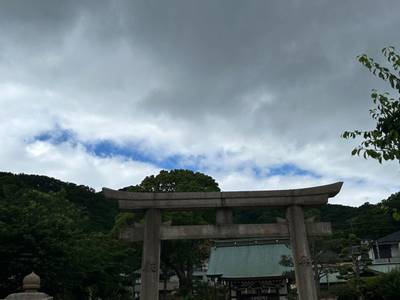鷺宮八幡神社,見どころ,ぶんぶん