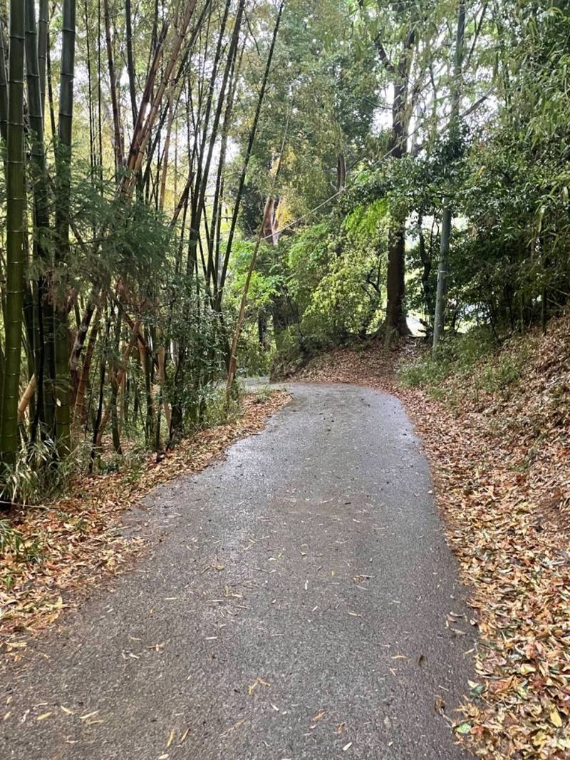 元石川稲荷社,神奈川県横浜市青葉区元石川町6575