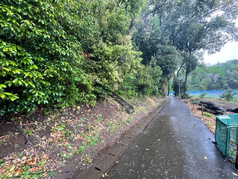 元石川稲荷社,神奈川県横浜市青葉区元石川町6575