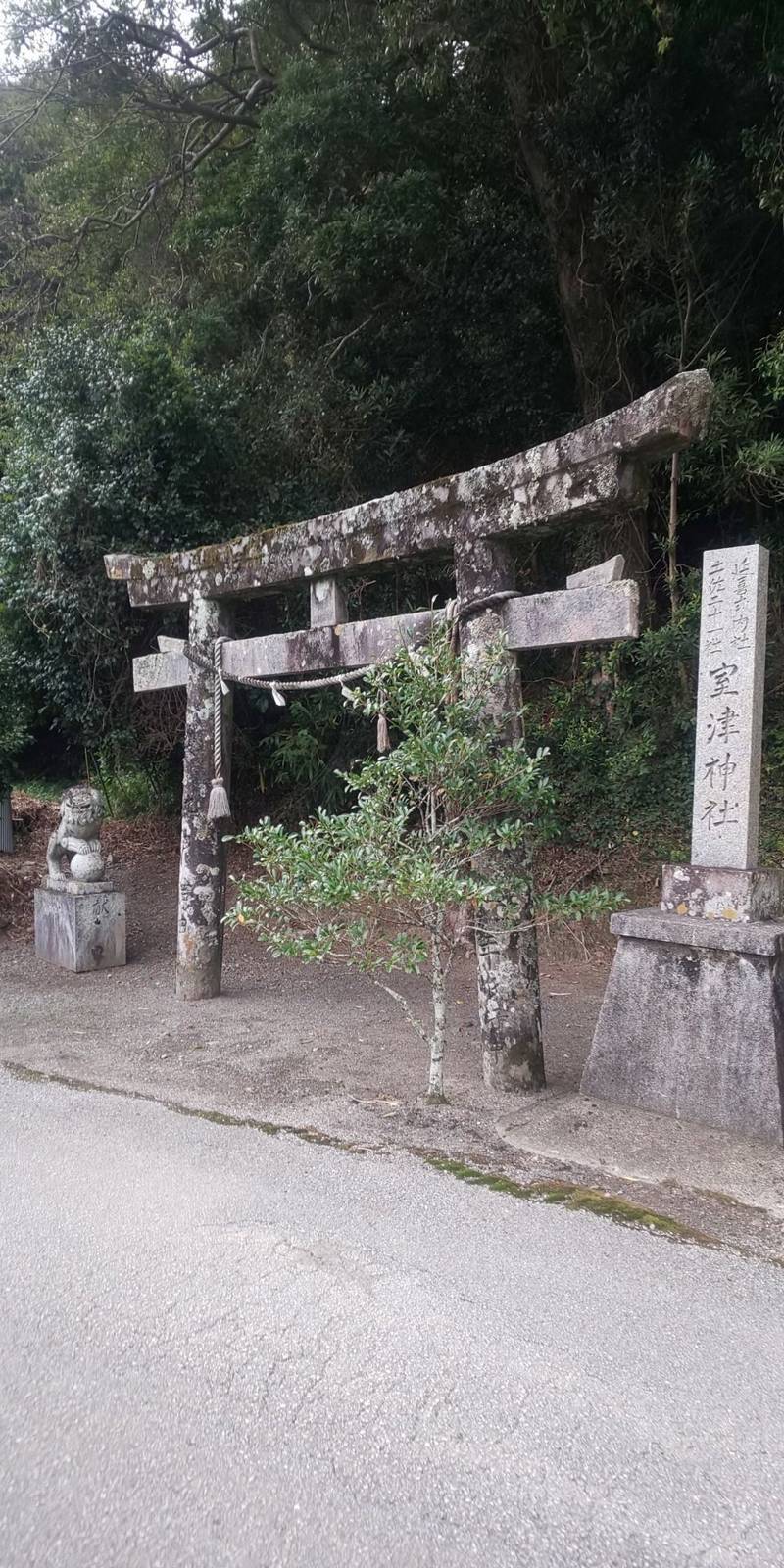 室津神社,高知県室戸市室津字船久保3241