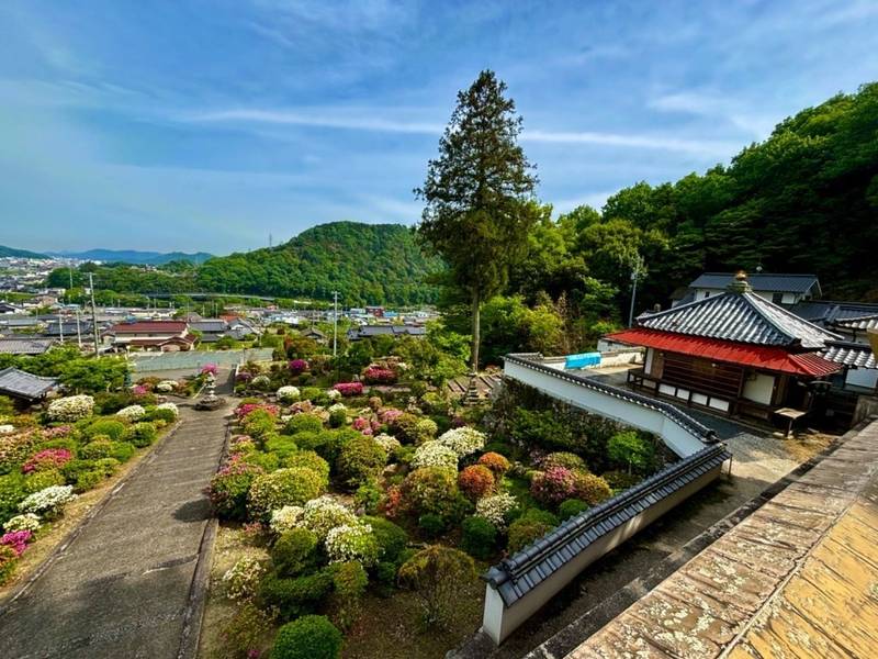 安楽寺     (さつき寺),広島県府中市目崎町２５８−２