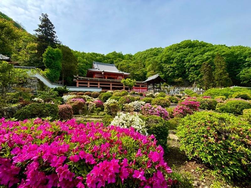 安楽寺     (さつき寺),広島県府中市目崎町２５８−２