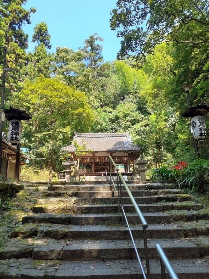 椎尾神社,大阪府三島郡島本町山崎5-1049