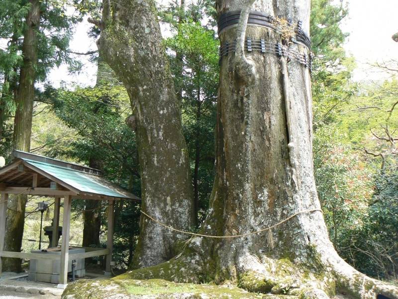 太郎生國津神社,三重県津市美杉町太郎生 2140番地