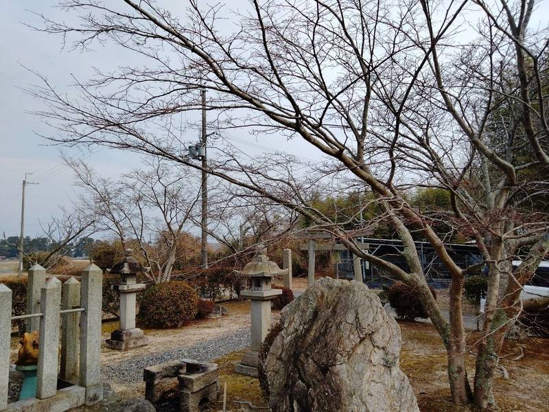 野々宮神社,滋賀県野洲市吉川