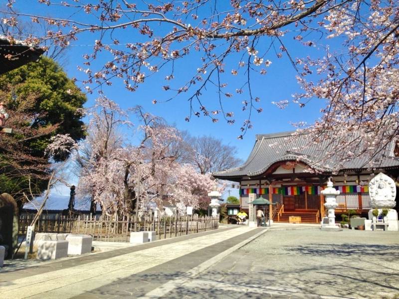 宝寿院の見どころ