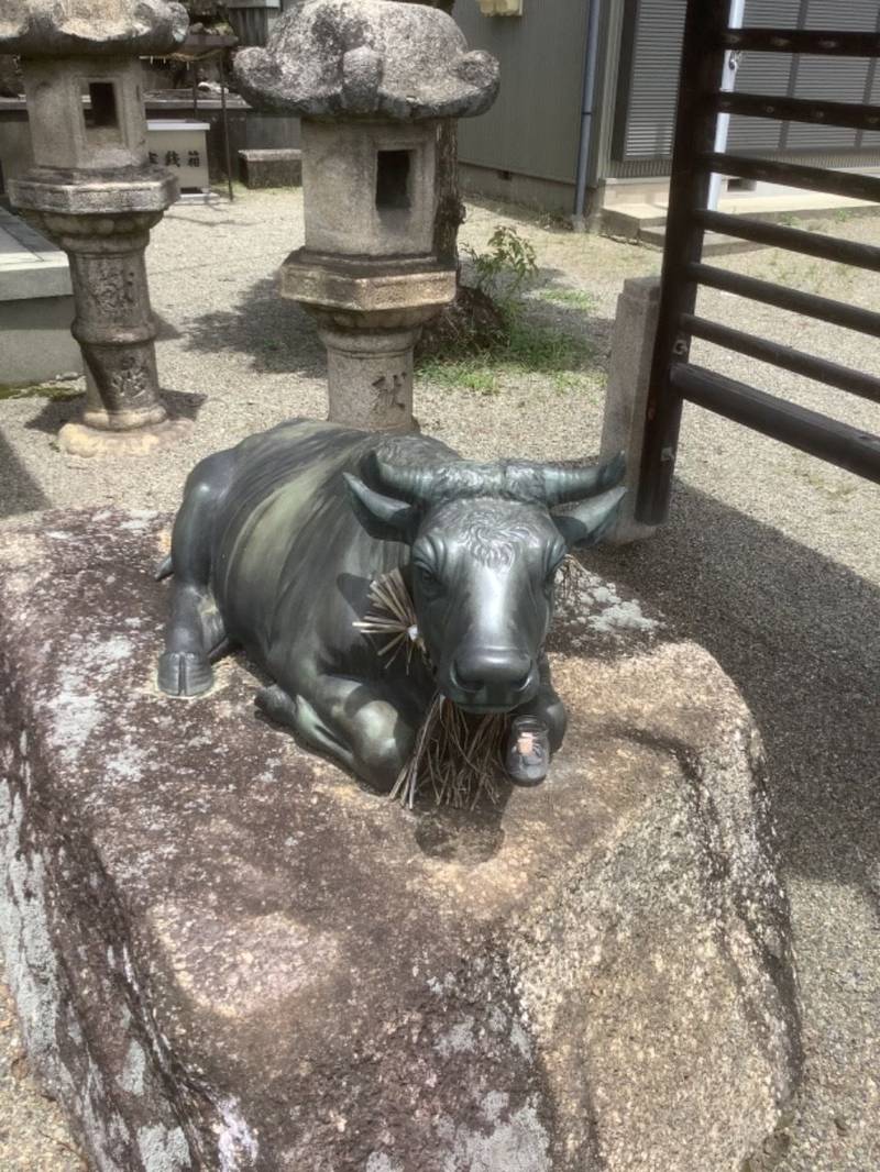 天神社  (黒野天神社),愛知県丹羽郡扶桑町柏森黒野１１５